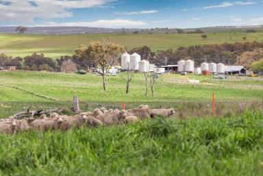 Lifestyle Auction - NSW - Boorowa - 2586 - Receiver's Sale - First Time Offered Publicly Since 1856  (Image 2)