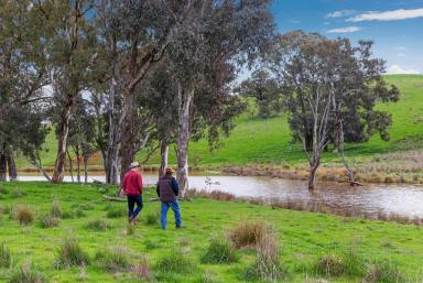 Lifestyle Auction - NSW - Boorowa - 2586 - Receiver's Sale - First Time Offered Publicly Since 1856  (Image 2)
