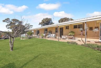 Lifestyle For Sale - NSW - Windellama - 2580 - Comfortable Country Home on 50 acres, Shed, Dams, To Suit Grazing & Lifestyle  (Image 2)
