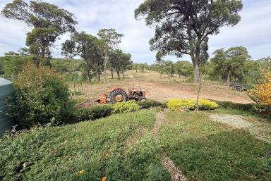 Lifestyle For Sale - NSW - Windellama - 2580 - Comfortable Country Home on 50 acres, Shed, Dams, To Suit Grazing & Lifestyle (Image 2)