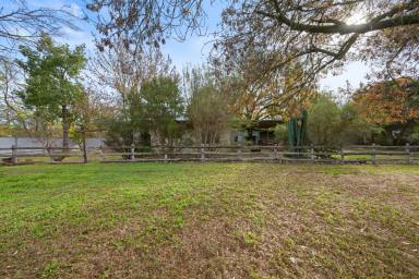 House For Sale - VIC - Markwood - 3678 - Sheds, Space & More Sheds – The Ultimate Lifestyle Property (Image 2)