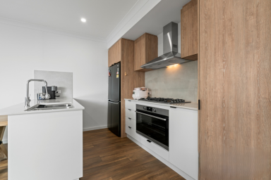 House For Sale - WA - Treeby - 6164 - Low Maintenance & Stylish Living  (Image 2)