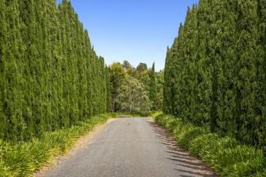Lifestyle For Sale - VIC - Meredith - 3333 - An Outstanding Country Estate (Image 2)