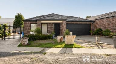 House For Sale - VIC - Cranbourne West - 3977 - Modern Family Living with Side Access in a Prime Cranbourne West Location (Image 2)