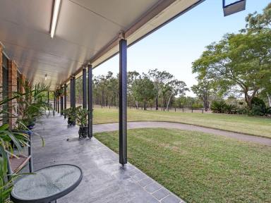 Lifestyle For Sale - QLD - Rosehill - 4370 - FOR THOSE WHO WANT A MAGNIFICENT LIFESTYLE PROPERTY, SUPERIOR COMMERCIAL SHED AND GARAGING  (Image 2)