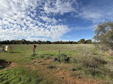 Residential Block For Sale - SA - Gladstone - 5473 - Lifestyle Allotment on Approx. 3.1 Acres with Dual Road Access  (Image 2)