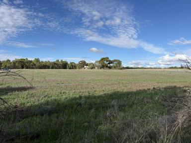 Residential Block For Sale - SA - Gladstone - 5473 - Lifestyle Allotment on Approx. 3.1 Acres with Dual Road Access  (Image 2)
