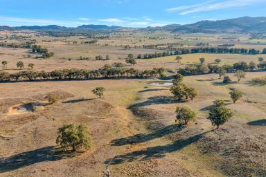 Lifestyle For Sale - NSW - Mudgee - 2850 - COUNTRY WITHOUT COMPROMISE  (Image 2)