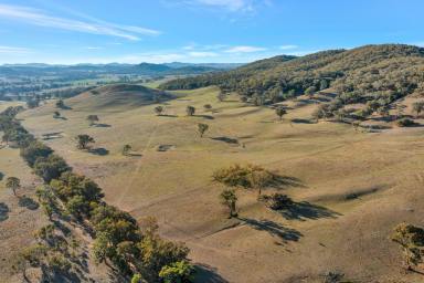 Lifestyle For Sale - NSW - Mudgee - 2850 - COUNTRY WITHOUT COMPROMISE  (Image 2)