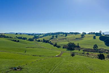 Lifestyle For Sale - VIC - Neerim South - 3831 - PREMIUM GRAZING OPPORTUNITY & SECURE INCOME STREAM (Image 2)