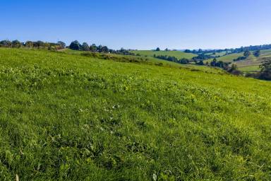Dairy For Sale - VIC - Neerim South - 3831 - PREMIUM GRAZING OPPORTUNITY & SECURE INCOME STREAM (Image 2)