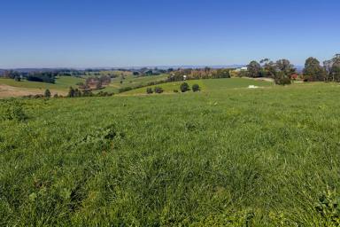 Lifestyle For Sale - VIC - Neerim South - 3831 - PREMIUM GRAZING OPPORTUNITY & SECURE INCOME STREAM (Image 2)