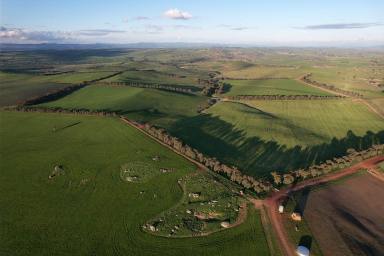 Mixed Farming For Sale - NSW - Wagga Wagga - 2650 - SCALE & PRODUCTIVITY IN THE EASTERN RIVERINA  (Image 2)