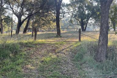 Residential Block For Sale - NSW - Lyndhurst - 2350 - Lovely weekend get-away block, set on 1.6acres*!  (Image 2)