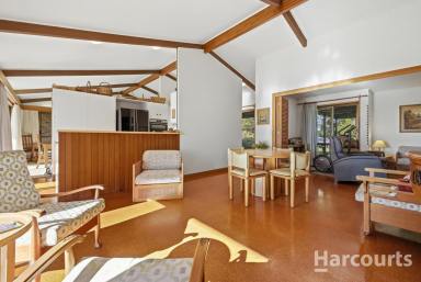 House For Sale - QLD - Branyan - 4670 - A RARELY OFFERED RIVERFRONT DREAM!  (Image 2)