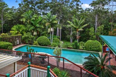 House For Sale - QLD - Black Mountain - 4563 - Contemporary Hinterland Living with Dual Occupancy Flexibility  (Image 2)