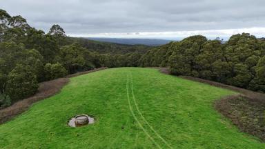 Lifestyle For Sale - VIC - Lavers Hill - 3238 - TOP OF THE OTWAY’S  (Image 2)