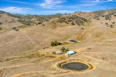 Lifestyle For Sale - NSW - Mudgee - 2850 - HISTORIC COUNTRY, BOUNDLESS POTENTIAL  (Image 2)
