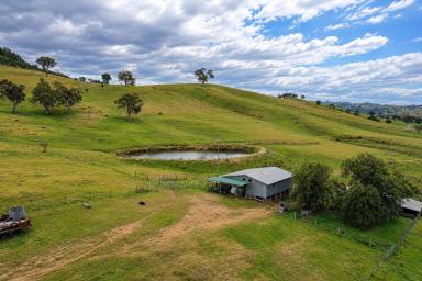 Lifestyle For Sale - NSW - Mudgee - 2850 - HISTORIC COUNTRY, BOUNDLESS POTENTIAL (Image 2)