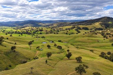 Lifestyle For Sale - NSW - Mudgee - 2850 - HISTORIC COUNTRY, BOUNDLESS POTENTIAL (Image 2)
