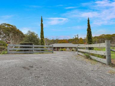 House For Sale - NSW - Tallong - 2579 - Retirees, Nature Lovers & Tradie / Car Enthusiast  (Image 2)