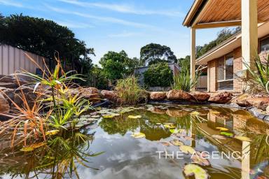 House For Sale - WA - Heathridge - 6027 - GREAT BONES...BRIGHT FURTURE!  (Image 2)