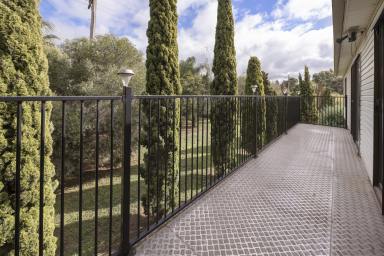 House For Sale - VIC - Lake Boga - 3584 - Secluded Lakeside Sanctuary  (Image 2)