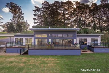 Acreage/Semi-rural Sold - VIC - Gembrook - 3783 - A Modern Masterpiece Showcasing Phenomenal Views  (Image 2)