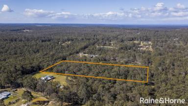 Residential Block For Sale - NSW - Falls Creek - 2540 - 2.04 Hectares of Untouched Beauty  (Image 2)