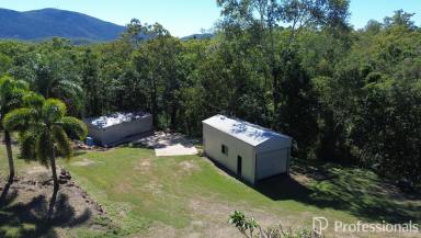 Cropping For Sale - QLD - Hampden - 4741 - Large Rural Block with a Home and separate Guest Retreat!  (Image 2)