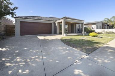 House For Sale - VIC - Swan Hill - 3585 - Modern and Tasteful  (Image 2)