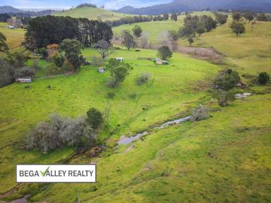 Acreage/Semi-rural For Sale - NSW - Wyndham - 2550 - CLASSIC HOMESTEAD ON 27 ACRES  (Image 2)