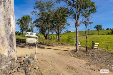 Livestock For Sale - NSW - Morans Crossing - 2550 - "KAREELA" - VERSATILE RURAL HOLDING WITH SCALE, WATER & MULTIPLE INCOME STREAMS (Image 2)