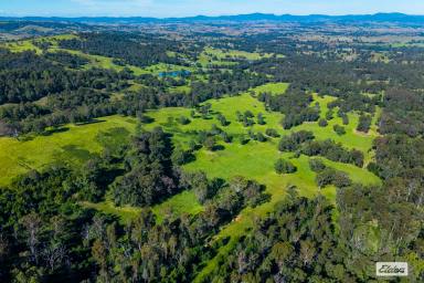 Livestock For Sale - NSW - Morans Crossing - 2550 - "KAREELA" - VERSATILE RURAL HOLDING WITH SCALE, WATER & MULTIPLE INCOME STREAMS (Image 2)