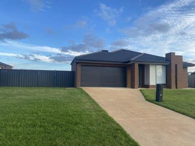 House For Lease - NSW - Moama - 3564 - Modern Living  (Image 2)