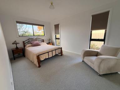 Unit For Lease - TAS - Westbury - 7303 - Bright & Low Maintenance - 2 Bedroom in quiet location.  (Image 2)