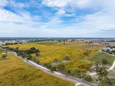 Lifestyle For Sale - SA - Coonawarra - 5263 - Penley Estate Division  (Image 2)