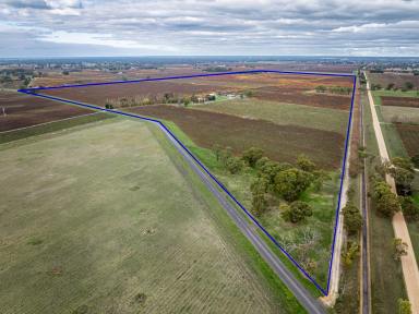 Viticulture For Sale - SA - Penola - 5277 - Graymoor Estate (Image 2)
