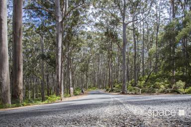 House For Sale - WA - Cowaramup - 6284 - Harmonious Family Home  (Image 2)
