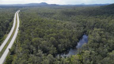Lifestyle For Sale - NSW - Pillar Valley - 2462 - COASTAL LIFESTYLE WITH PANORAMIC VALLEY VIEWS, TIMBER LOGGING POTENTIAL  (Image 2)