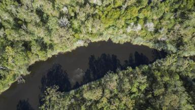 Lifestyle For Sale - NSW - Pillar Valley - 2462 - COASTAL LIFESTYLE WITH PANORAMIC VALLEY VIEWS, TIMBER LOGGING POTENTIAL  (Image 2)