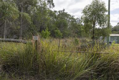 Lifestyle For Sale - NSW - Pillar Valley - 2462 - PANORAMIC VALLEY VIEWS, TIMBER LOGGING POTENTIAL, COASTAL LIFESTYLE  (Image 2)