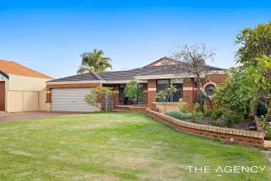 House For Sale - WA - Atwell - 6164 - Big Block, Big Backyard, Big Opportunity!  (Image 2)