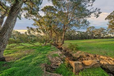 Residential Block For Sale - VIC - Mandurang South - 3551 - A Rare Sanctuary Amongst the Hills  (Image 2)