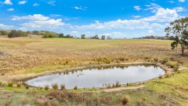 Mixed Farming Auction - NSW - Woolbrook - 2354 - RENOVATED HOMESTEAD WITH RELIABLE RAINFALL & GRAZING POTENTIAL (Image 2)
