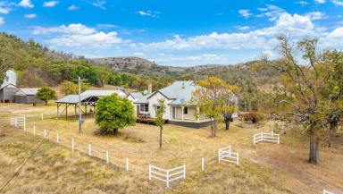 Mixed Farming Auction - NSW - Woolbrook - 2354 - RENOVATED HOMESTEAD WITH RELIABLE RAINFALL & GRAZING POTENTIAL  (Image 2)