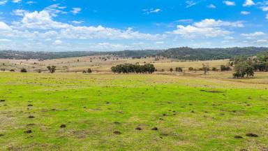 Mixed Farming Auction - NSW - Woolbrook - 2354 - RENOVATED HOMESTEAD WITH RELIABLE RAINFALL & GRAZING POTENTIAL (Image 2)