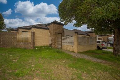 House For Sale - WA - Nollamara - 6061 - DISPLAY HOME PRESENTATION  (Image 2)