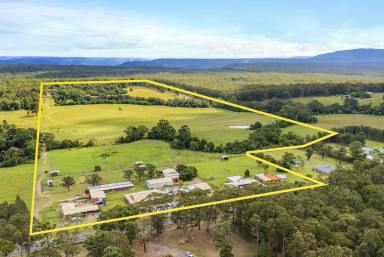 Lifestyle For Sale - NSW - Mundamia - 2540 - 'Twin Creeks' Mundamia - Development Ready  (Image 2)