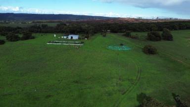 Lifestyle For Sale - SA - Cassini - 5223 - 100 Acres of Peace, Privacy & Possibility in Cassini  (Image 2)